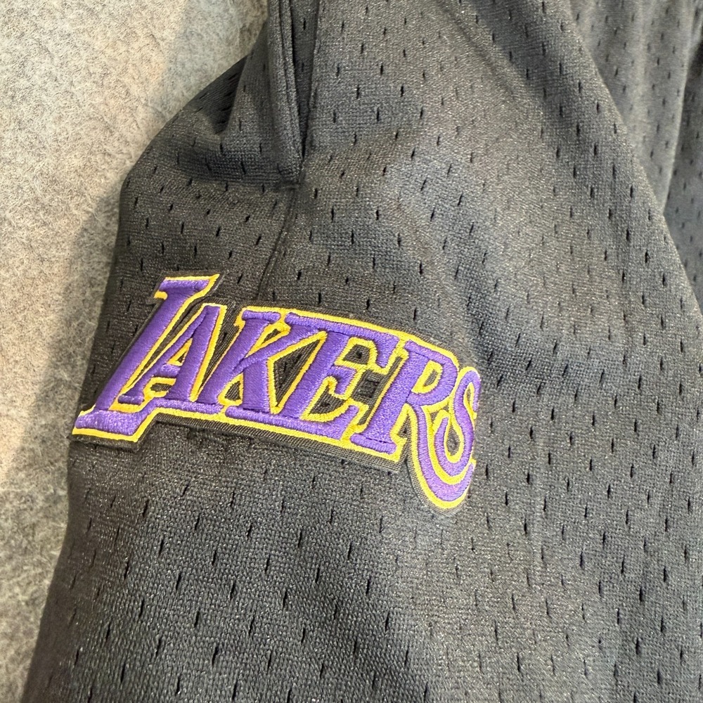 Pro Standard Los Angeles Lakers City Scape Sunset Mesh Shorts Large Heavyweight - Picture 12 of 16